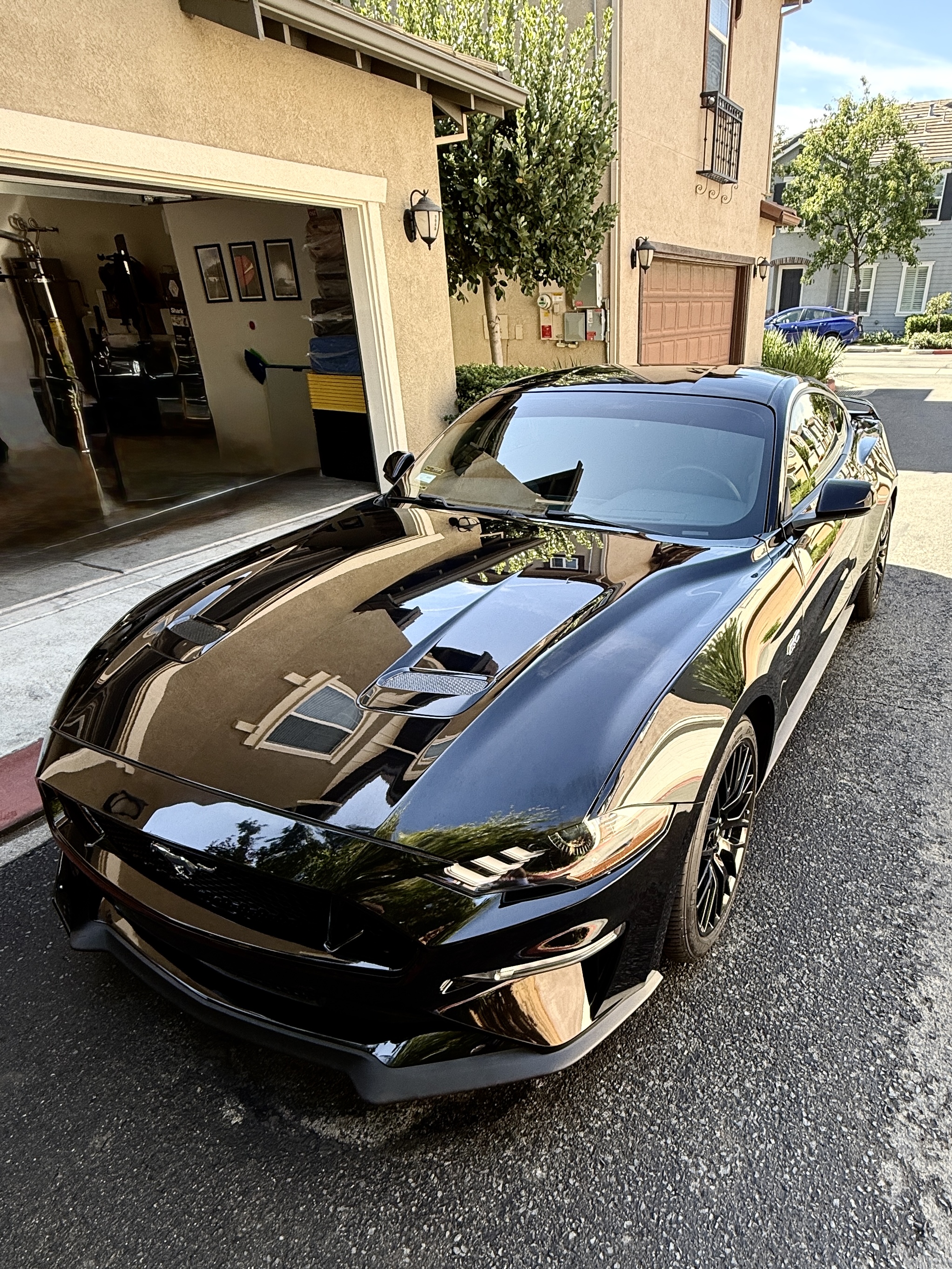 Glossy black Mustang